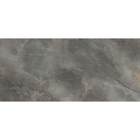Płytka Gresowa Masterstone Graphite Polished 119,7x279,7 Cerrad
