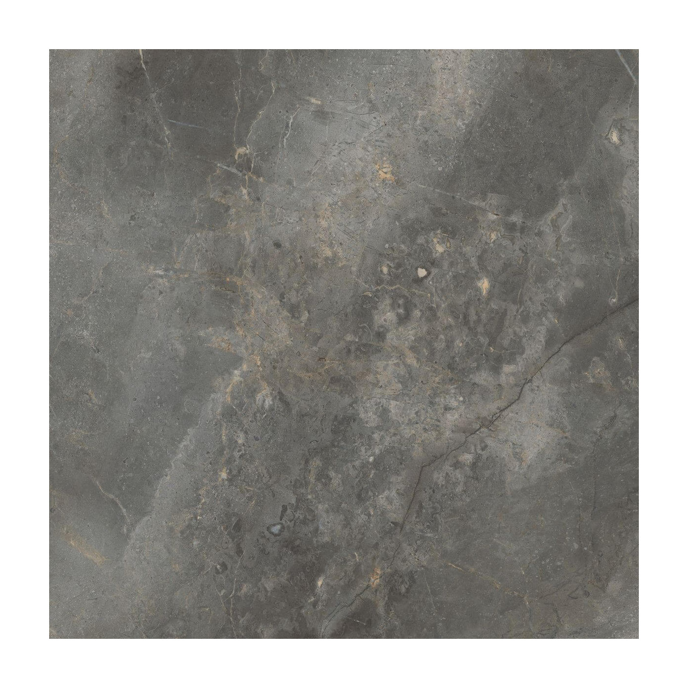 Płytka Masterstone Graphite Poler 119,7x119,7 Cerrad Płytka Masterstone Graphite Poler 119,7x119,7 Cerrad