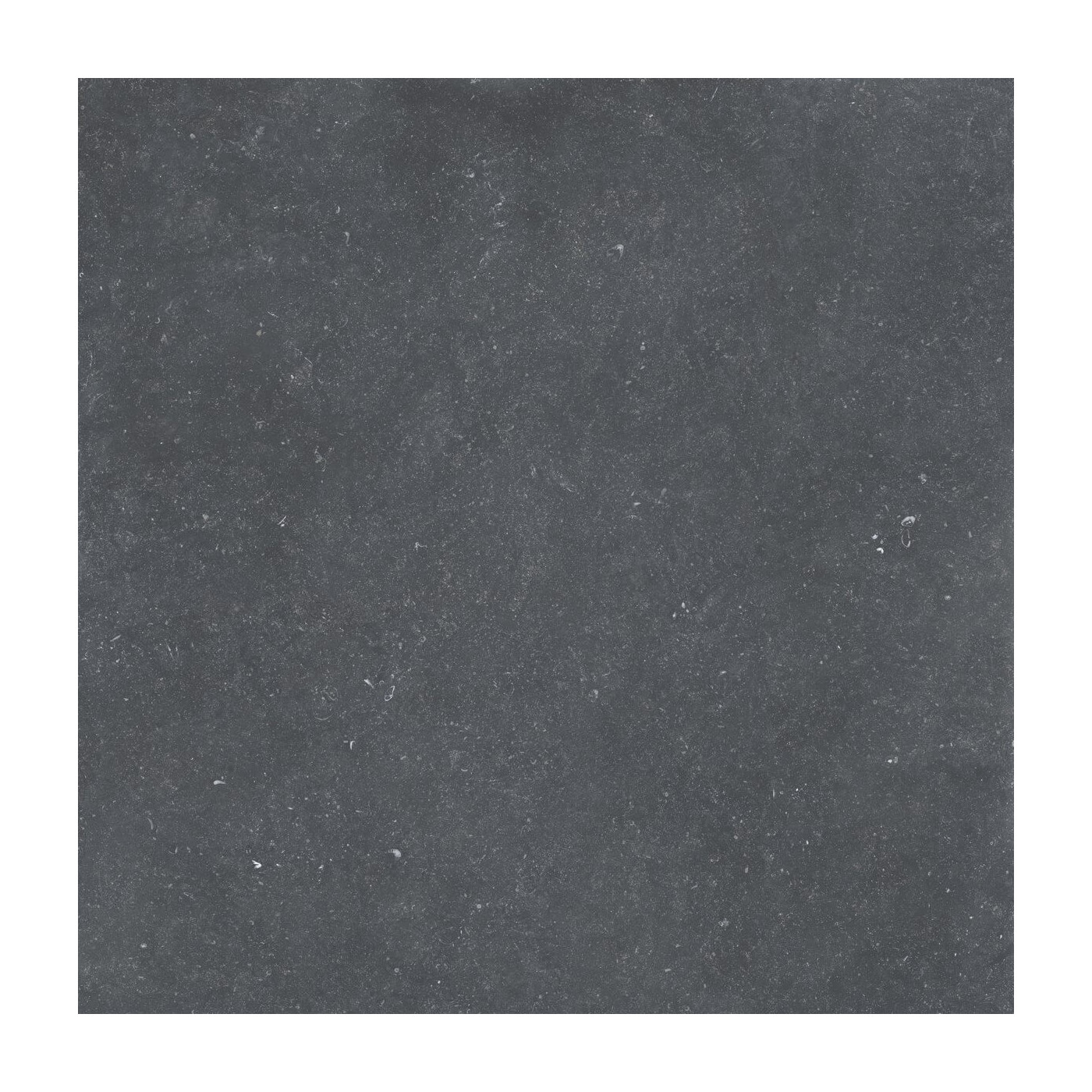 Płytka Belgica Black 20mm 59,7x59,7 Cerrad Płytka Belgica Black 20mm 59,7x59,7 Cerrad