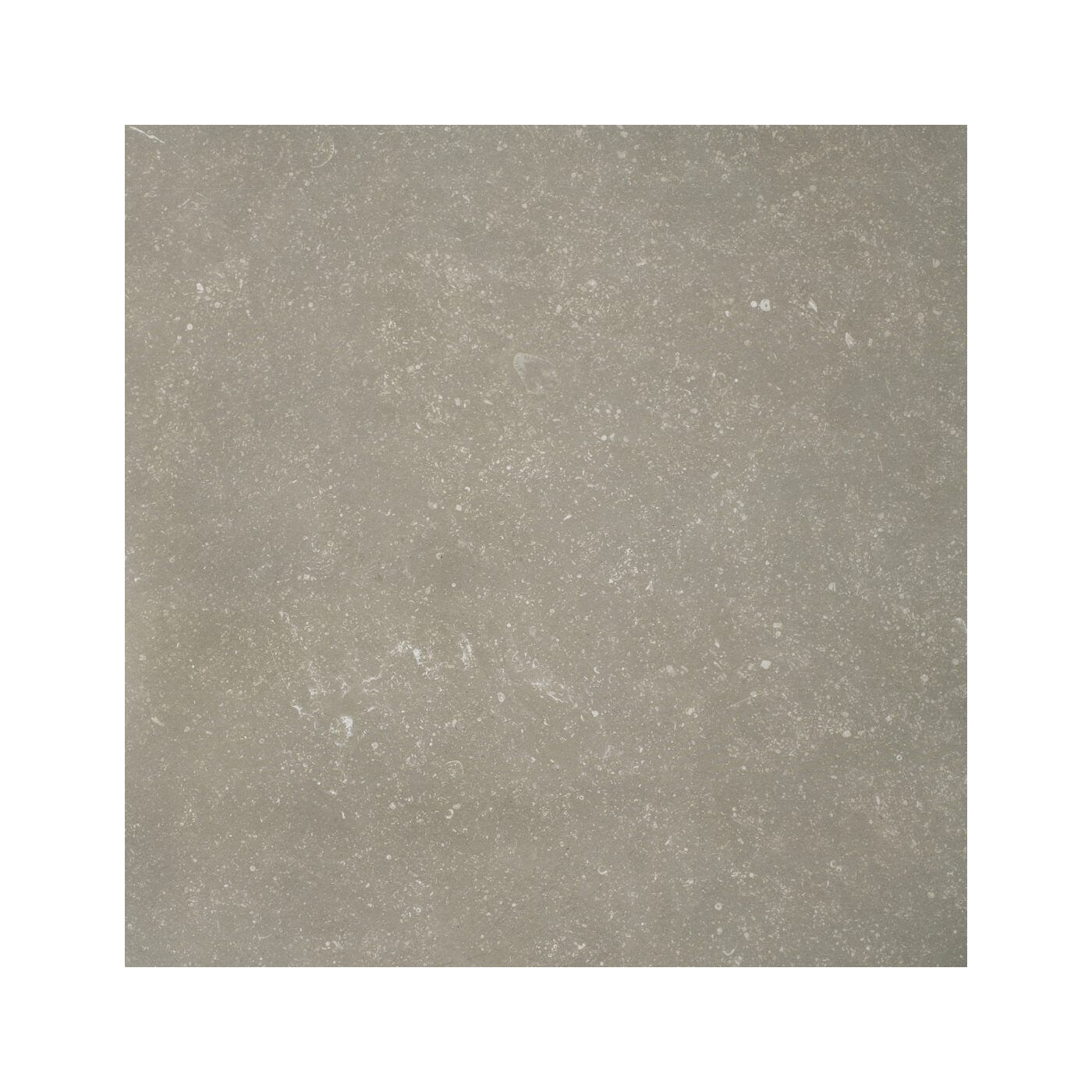 Płytka tarasowa 2 cm Belgica Grey 2.0 59,7x59,7 Cerrad Płytka tarasowa 2 cm Belgica Grey 2.0 59,7x59,7 Cerrad