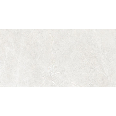 Płytka Podłogowa Distinct Ice 119,7x59,7 Cerrad