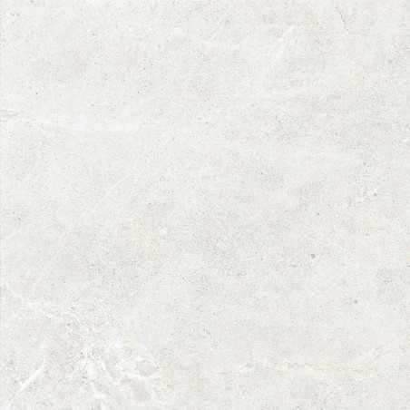 Płytka Podłogowa Distinct Ice 59,7x59,7 Cerrad