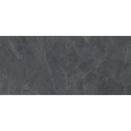 Płytka Podłogowa Distinct Graphite Silky Cristal 279,7x119,7 Cerrad