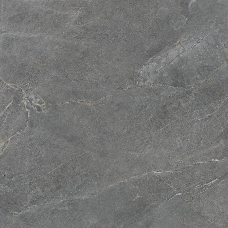 Płytka Podłogowa Distinct Grey Silky Cristal 119,7x119,7 Cerrad