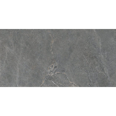 Płytka Podłogowa Distinct Grey Silky Cristal 119,7x59,7 Cerrad