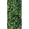 Dekor Dream Połysk 30x60 Paradyż Classica Dekor Dream Połysk 30x60 Paradyż Classica