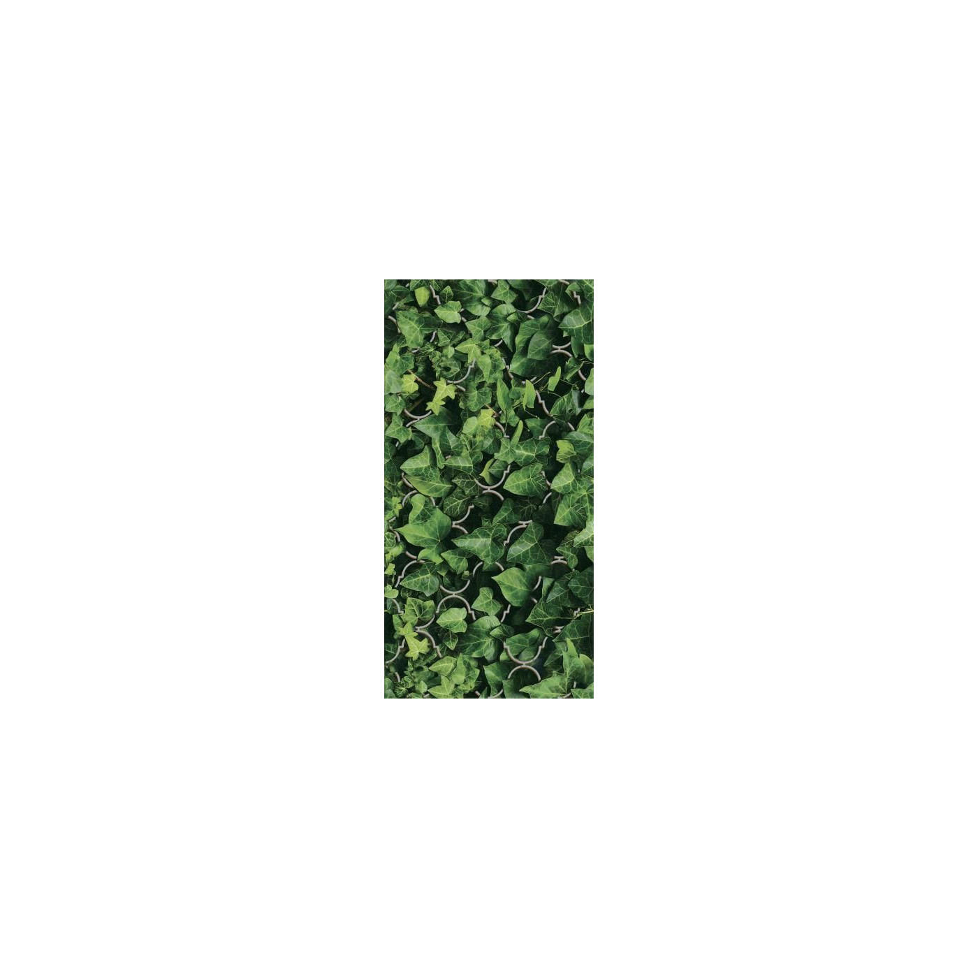 Dekor Dream Połysk 30x60 Paradyż Classica Dekor Dream Połysk 30x60 Paradyż Classica
