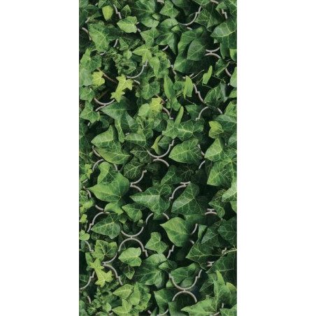 Dekor Dream Połysk 30x60 Paradyż Classica