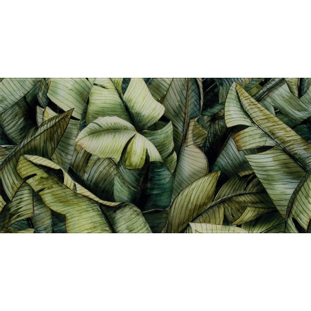 Inserto Uniwersalne Szklane Natura Leaf A 30x60 Paradyż Classica