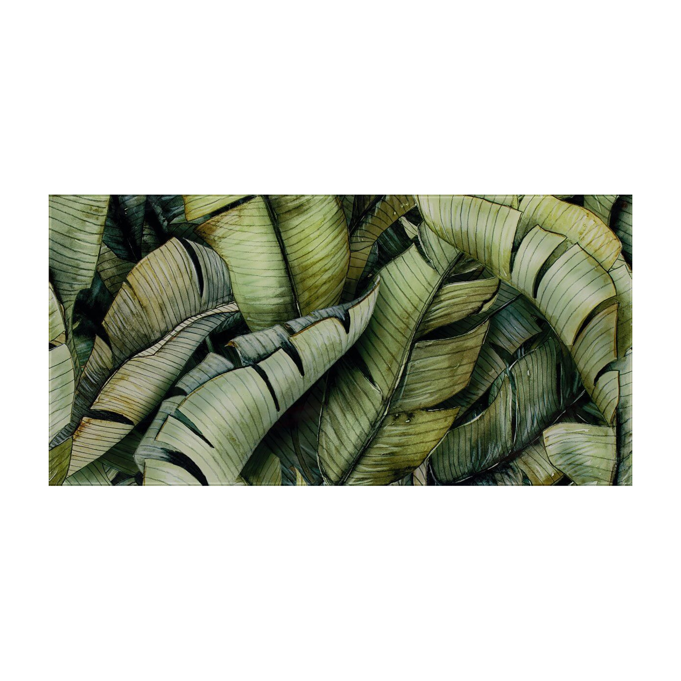 Inserto Uniwersalne Szklane Natura Leaf B 30x60 Paradyż Classica Inserto Uniwersalne Szklane Natura Leaf B 30x60 Paradyż Classica