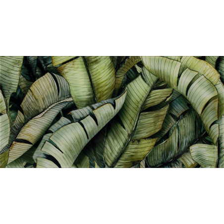 Inserto Uniwersalne Szklane Natura Leaf B 30x60 Paradyż Classica