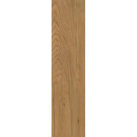 Płytka Tarasowa Trueland Gold Struktura 29,5X119,5 Paradyż