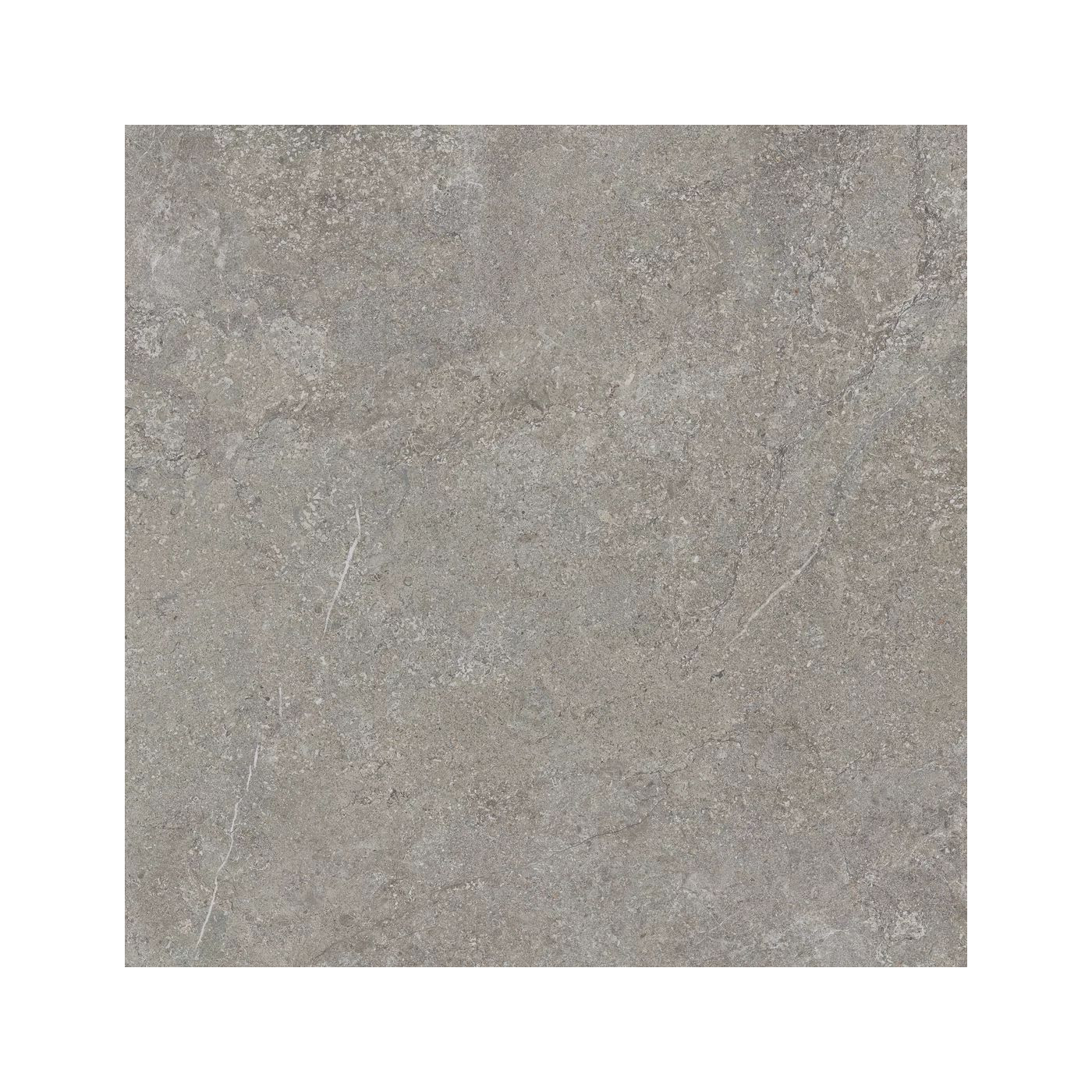 Płytka Podłogowa Misty Rock Grey 119,8x119,8 Paradyż Płytka Podłogowa Misty Rock Grey 119,8x119,8 Paradyż