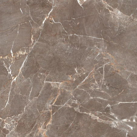 Płytka Podłogowa Proud Champagne Beige Str. 119,8x119,8 Paradyż