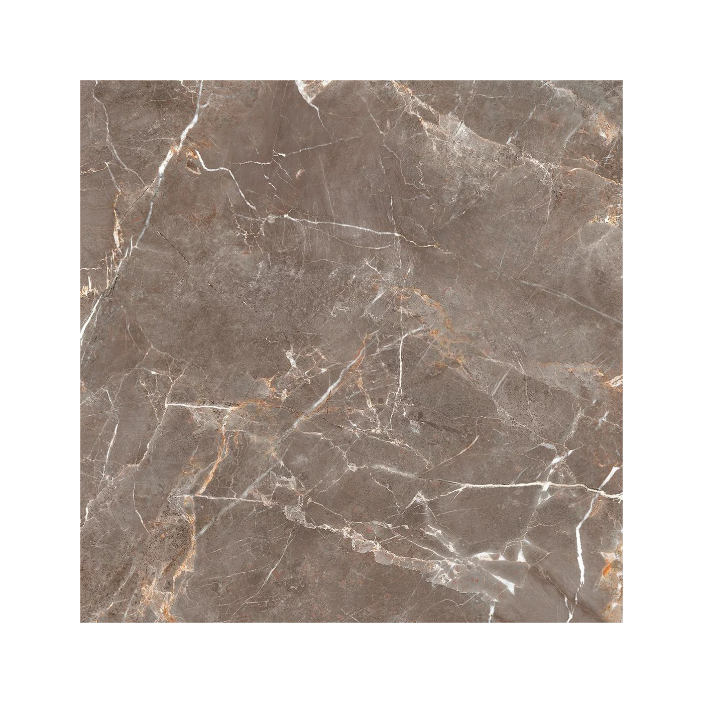 Płytka Podłogowa Proud Champagne Beige Str. 119,8x119,8 Paradyż Płytka Podłogowa Proud Champagne Beige Str. 119,8x119,8 Paradyż