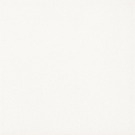 Płytka Podłogowa Gammo Biały Mat 19,8x19,8 Paradyż