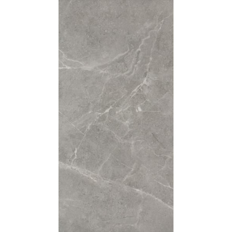 Płytka Ibis Grys Mat 30X60 Paradyż