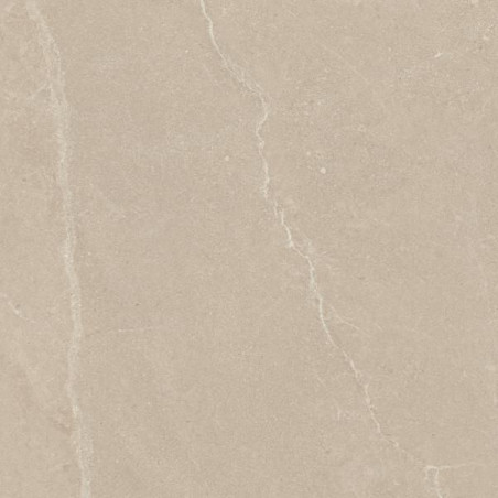 Płytka U118 Beige Mat 59,8X59,8 Paradyż