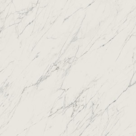 Płytka Podłogowa Elite White 119,8x119,8 Połysk Paradyż My Way