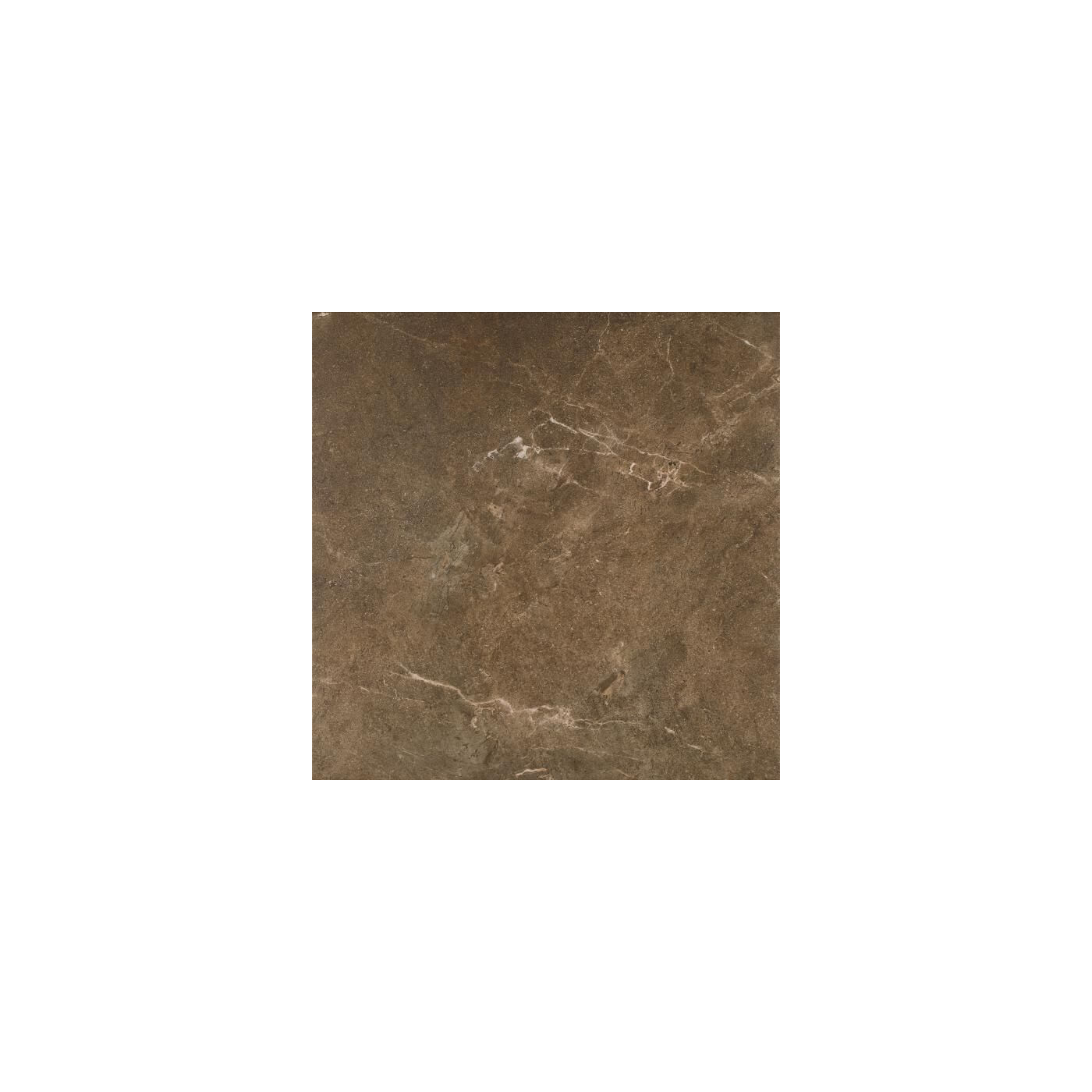 Płytka Ibis Brown Mat 60x60 Paradyż Płytka Ibis Brown Mat 60x60 Paradyż