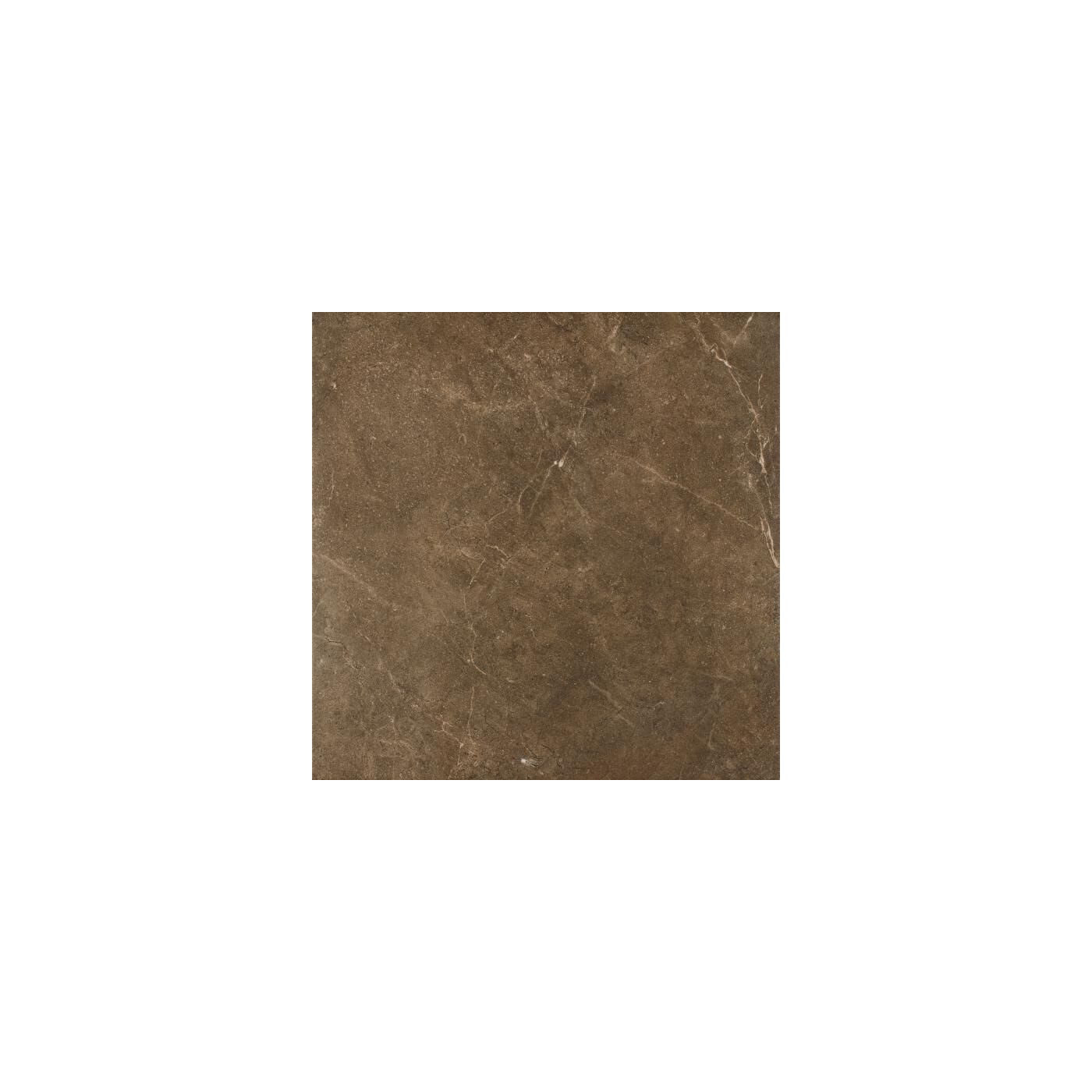 Płytka Ibis Brown Mat 60x60 Paradyż Płytka Ibis Brown Mat 60x60 Paradyż