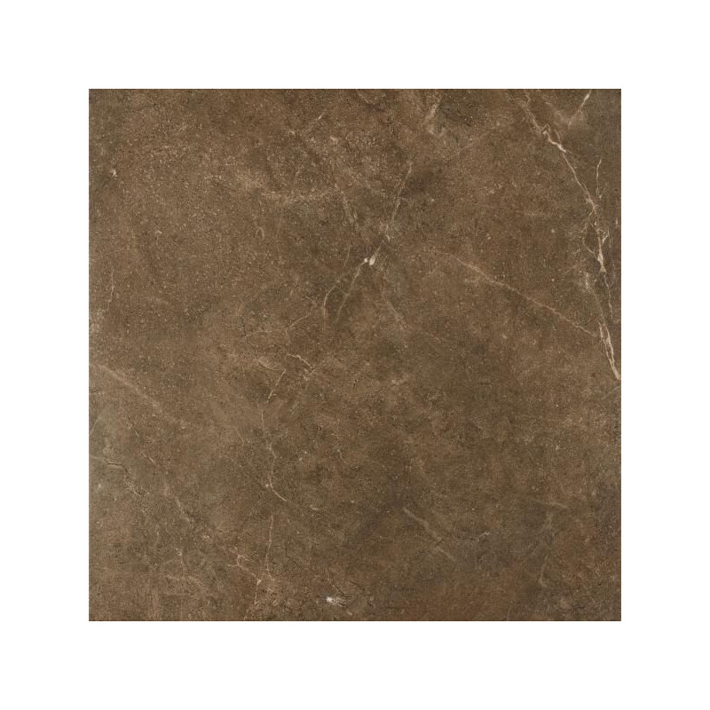 Płytka Ibis Brown Mat 60x60 Paradyż Płytka Ibis Brown Mat 60x60 Paradyż