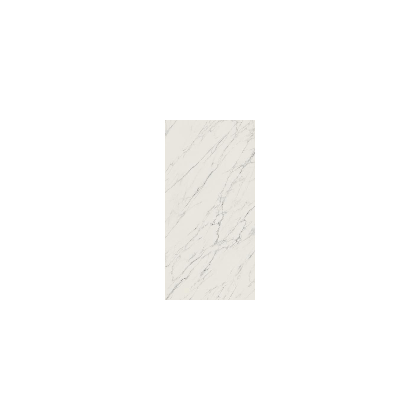 Płytka Elite White Mat 59,8x119,8 Paradyż My Way Płytka Elite White Mat 59,8x119,8 Paradyż My Way
