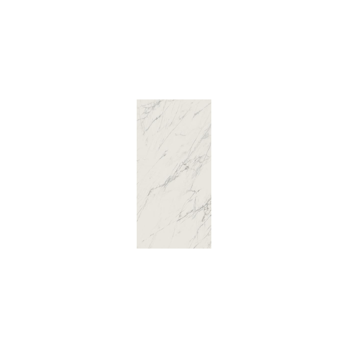 Płytka Elite White Mat 59,8x119,8 Paradyż My Way Płytka Elite White Mat 59,8x119,8 Paradyż My Way