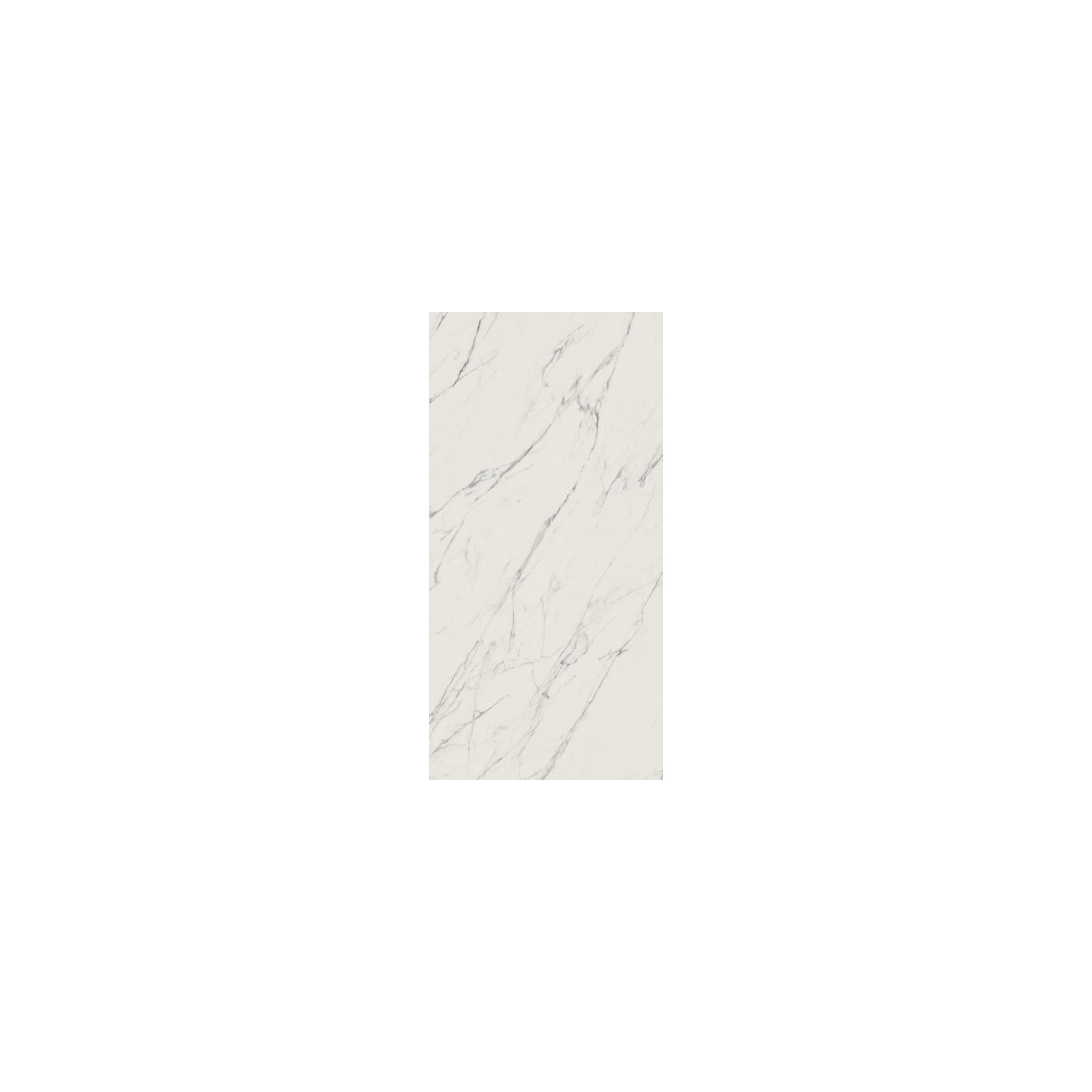 Płytka Elite White Połysk 59,8x119,8 Paradyż My Way Płytka Elite White Połysk 59,8x119,8 Paradyż My Way