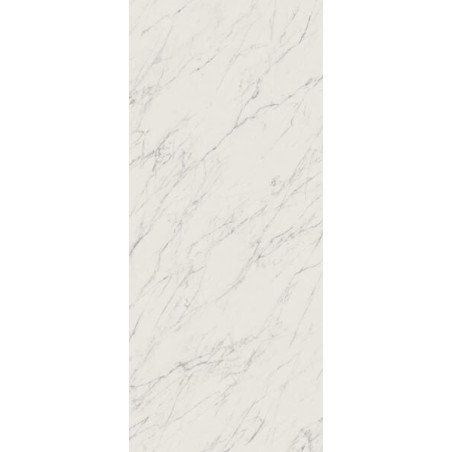 Płytka Elite White Połysk 119,8x279,8 Paradyż My Way