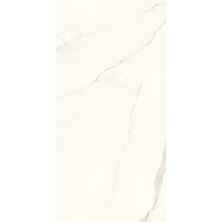 Gres Szkliwiony Rektyfikowany Calacatta Mat 59,8x119,8 Paradyż My Way