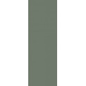 Płytka Nightwish Green Mat 25x75 Paradyż Płytka Nightwish Green Mat 25x75 Paradyż