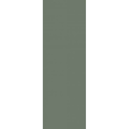 Płytka Nightwish Green Mat 25x75 Paradyż