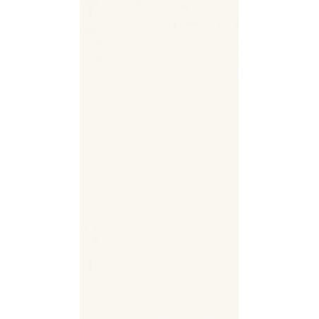 Płytka Tabia White Mat 29,8x59,8 Paradyż