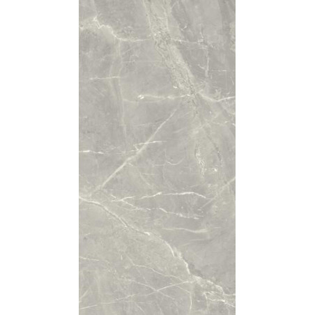 Płytka Ścienna Afternoon Grys Połysk 29,8X59,8 Paradyż