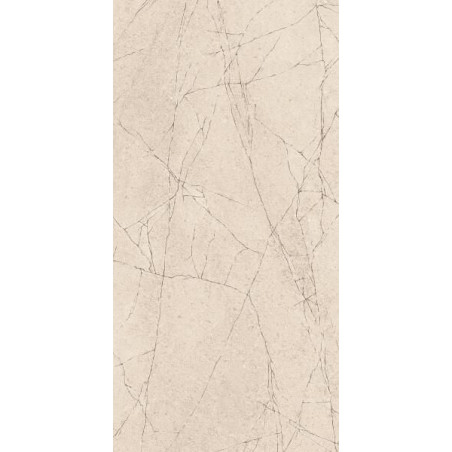 Płytka Ścienna U109 Grys Mat 30X60 Paradyż Classica