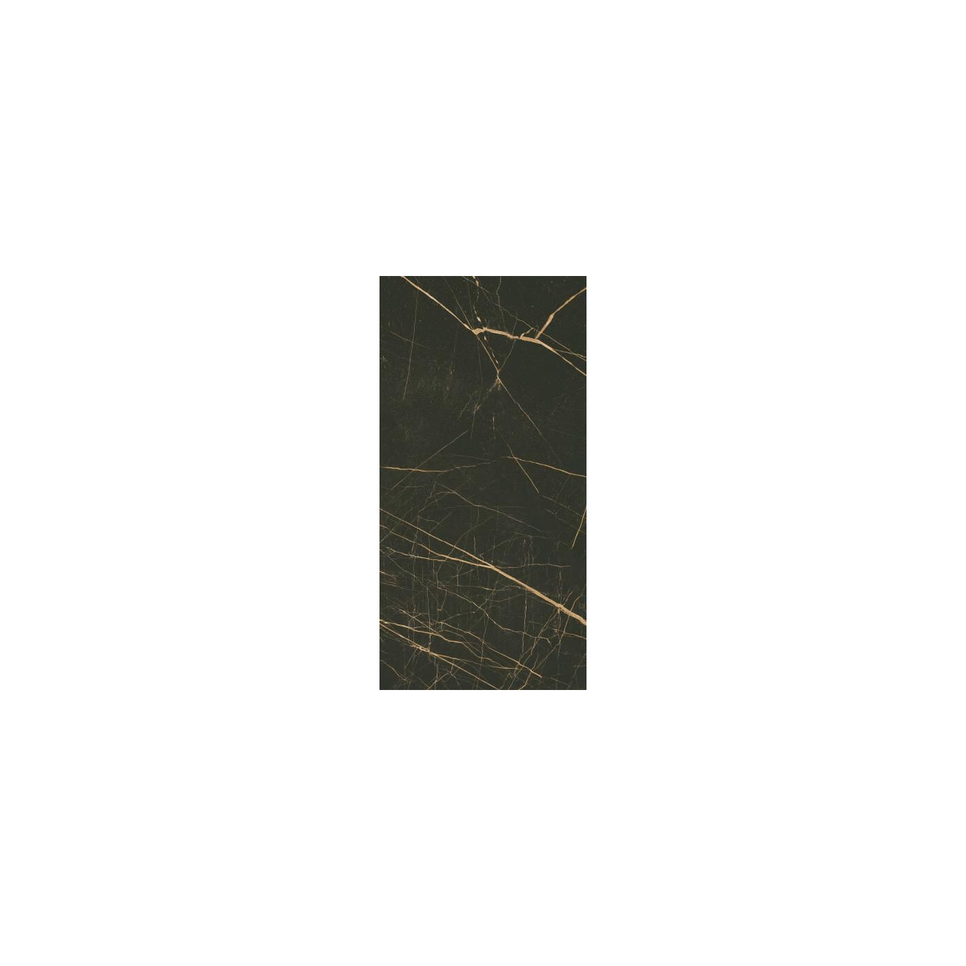 Płytka Fancy Black Połysk 30x60 Paradyż Classica Płytka Fancy Black Połysk 30x60 Paradyż Classica