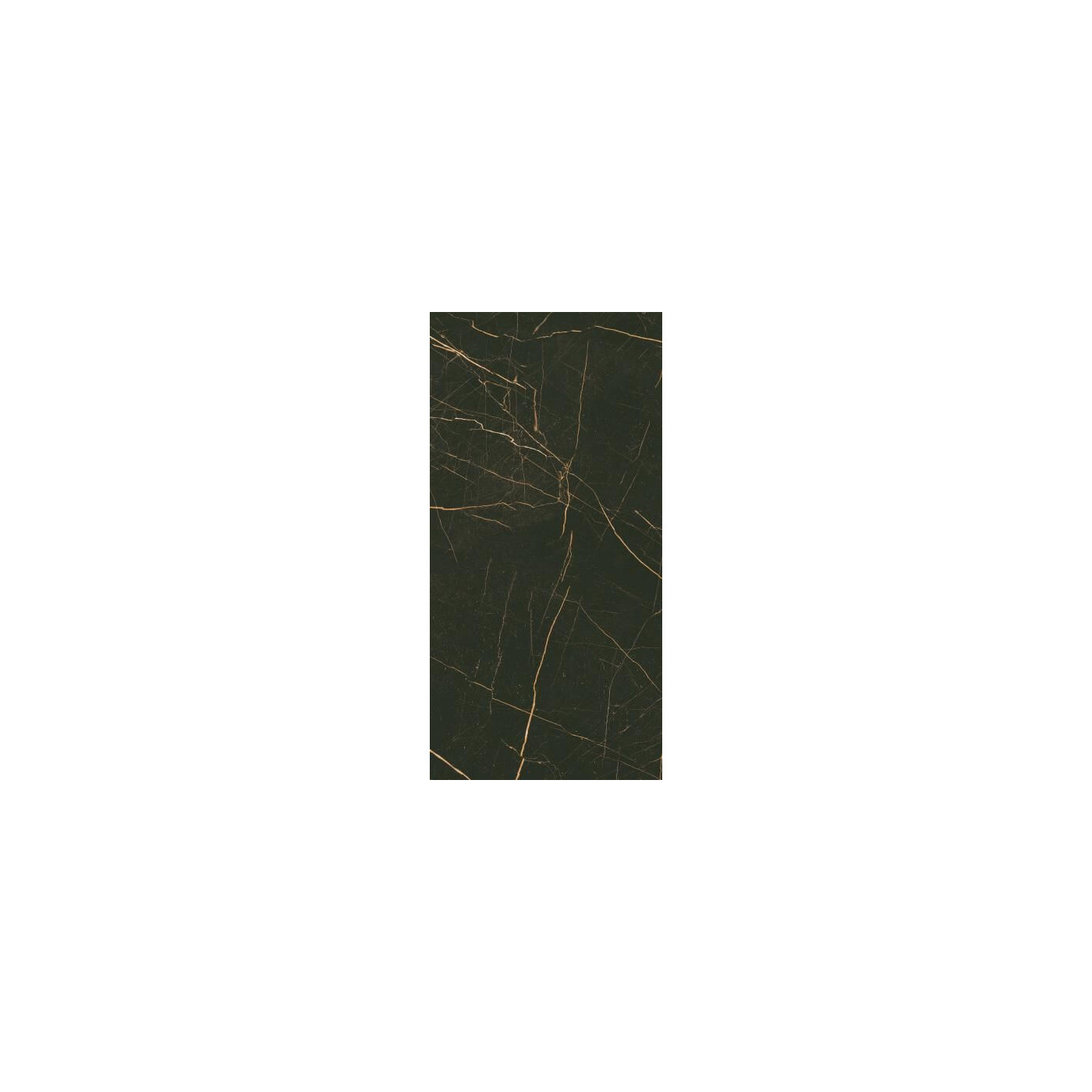 Płytka Fancy Black Połysk 30x60 Paradyż Classica Płytka Fancy Black Połysk 30x60 Paradyż Classica