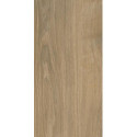 Płytka Ideal Natural Mat 30x60 Paradyż Classica Płytka Ideal Natural Mat 30x60 Paradyż Classica