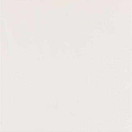 Płytka Elegant Surface Bianco Mat 59,8x59,8 Paradyż My Way