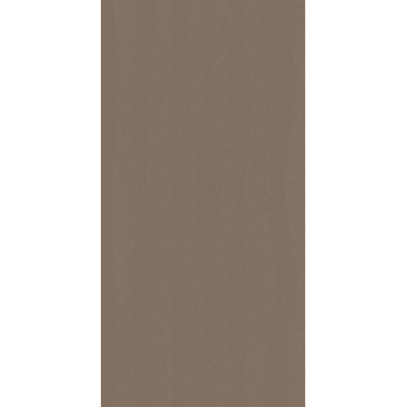 Dekor Ścienny Calm Taupe Połysk 29,8X59,8 Paradyż