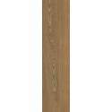Płytka Tarasowa Trueland Honey Mat 29,5X119,5 Paradyż Płytka Tarasowa Trueland Honey Mat 29,5X119,5 Paradyż