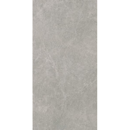 Płytka U118 Grey Lappato 59,8X119,8 Paradyż