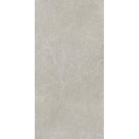 Płytka U118 Light Grey Mat 59,8X119,8 Paradyż