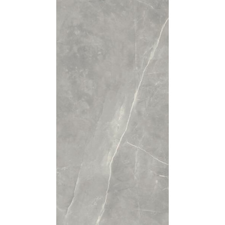 Płytka Ritual Grey Mat 60X120 Paradyż