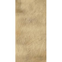 Płytka Eremite Sand Struktura 30X60 Paradyż Płytka Eremite Sand Struktura 30X60 Paradyż