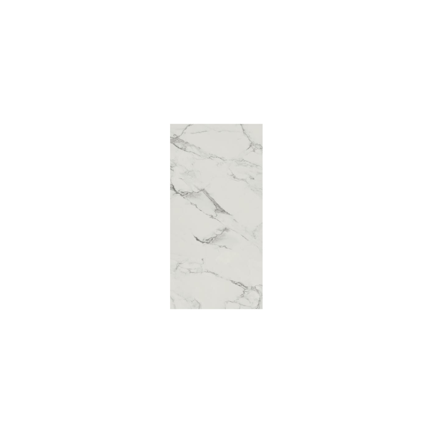 Płytka Carrastone White Mat 59,8x119,8 Paradyż Classica Płytka Carrastone White Mat 59,8x119,8 Paradyż Classica