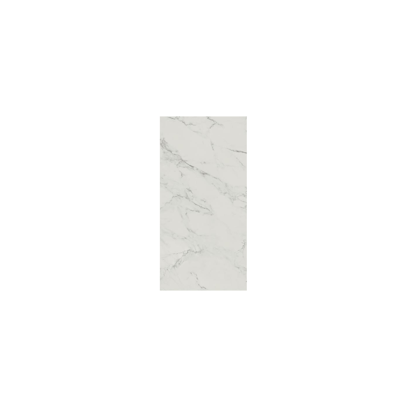 Płytka Carrastone White Mat 59,8x119,8 Paradyż Classica Płytka Carrastone White Mat 59,8x119,8 Paradyż Classica