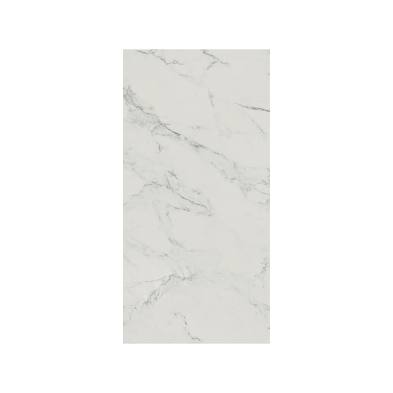 Płytka Carrastone White Mat 59,8x119,8 Paradyż Classica Płytka Carrastone White Mat 59,8x119,8 Paradyż Classica