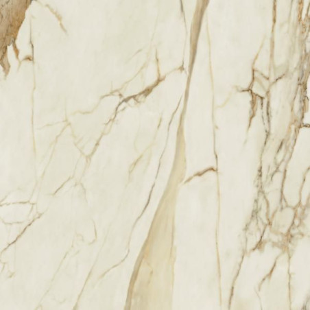 Płytka Podłogowa Warm Wind Gold 59,8x59,8 Połysk Paradyż My Way